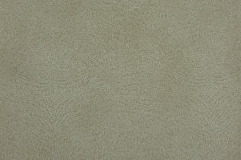 用于沙发套的涤纶荷兰天鹅绒针织面料 hollnad 真丝面料 室内装潢面料 豪华天鹅绒