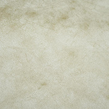 沙发面料 100% 涤纶荷兰天鹅绒装饰面料纺织品